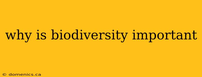 why is biodiversity important