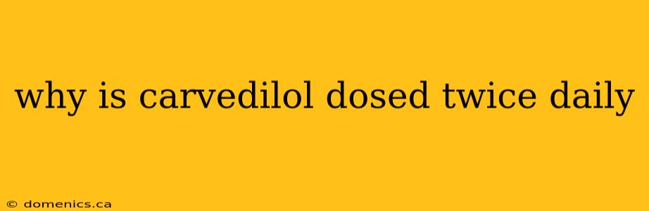 why is carvedilol dosed twice daily