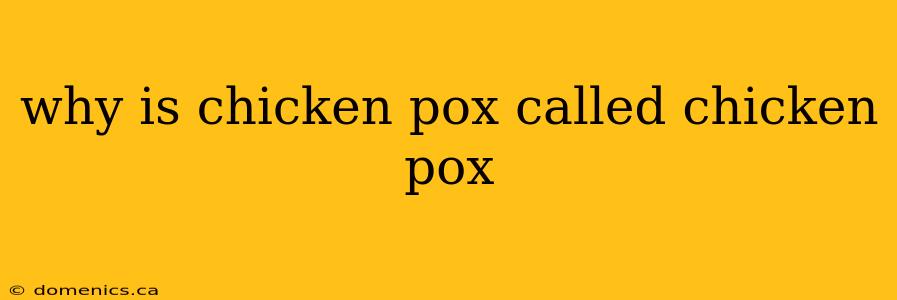 why is chicken pox called chicken pox