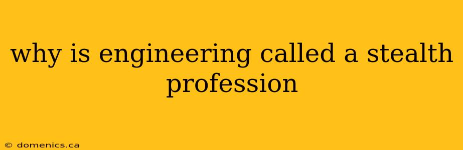 why is engineering called a stealth profession