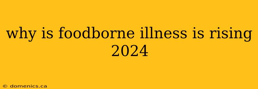 why is foodborne illness is rising 2024