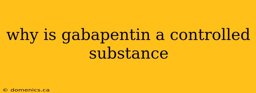 why is gabapentin a controlled substance