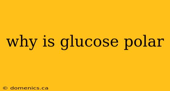 why is glucose polar