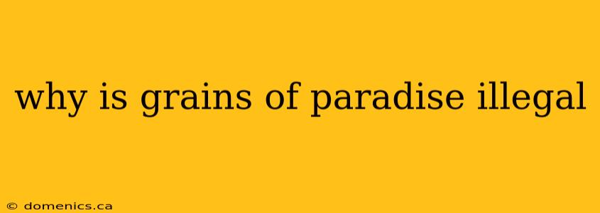 why is grains of paradise illegal