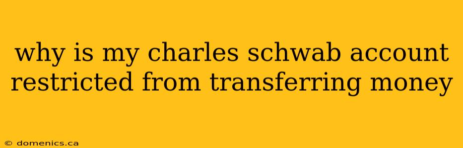 why is my charles schwab account restricted from transferring money