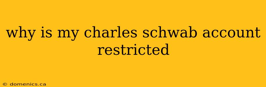 why is my charles schwab account restricted