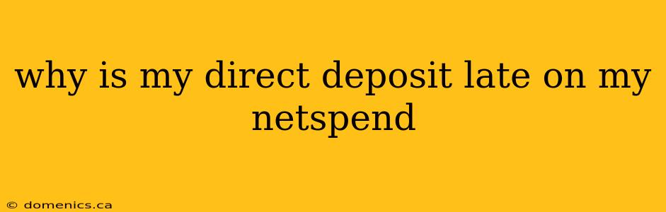 why is my direct deposit late on my netspend
