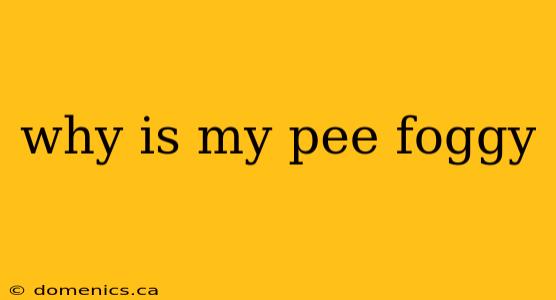 why is my pee foggy