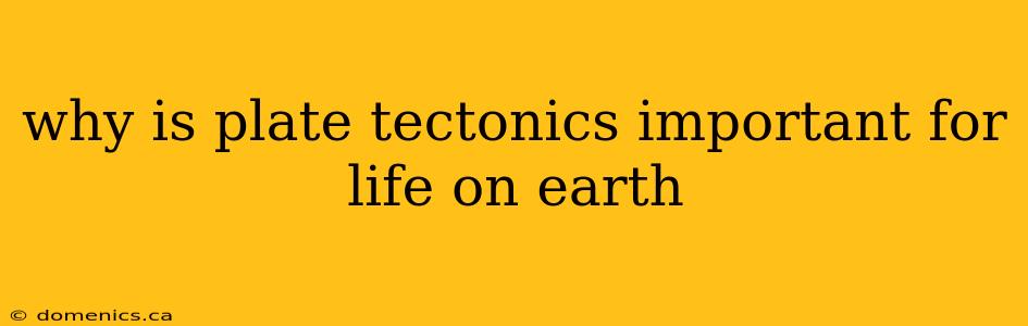 why is plate tectonics important for life on earth