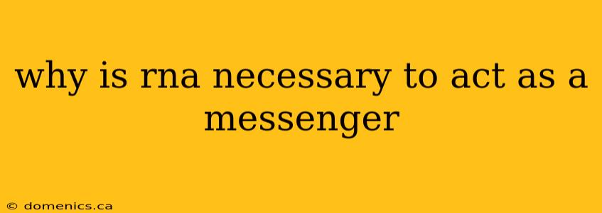 why is rna necessary to act as a messenger