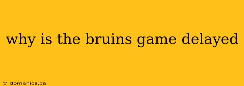 why is the bruins game delayed