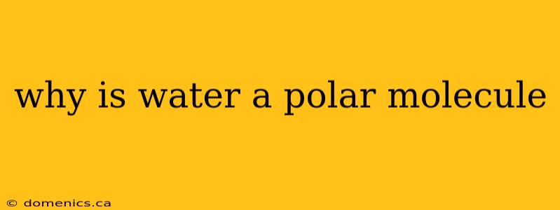 why is water a polar molecule