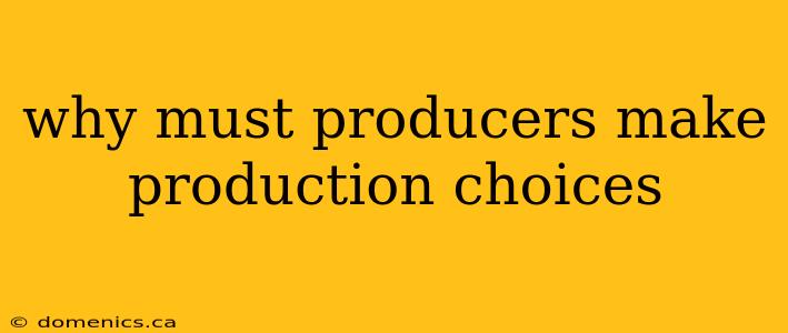 why must producers make production choices