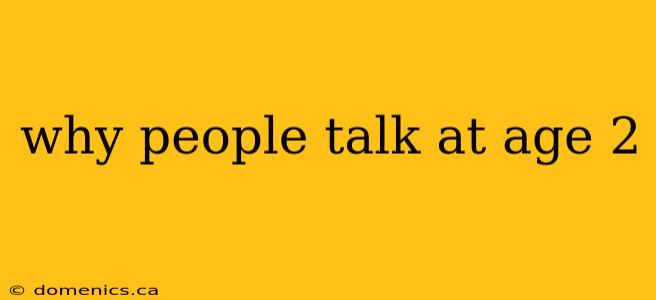 why people talk at age 2