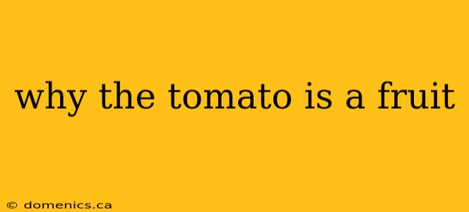 why the tomato is a fruit