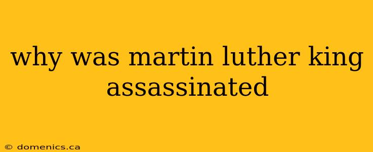 why was martin luther king assassinated