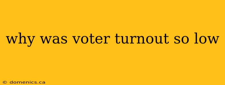 why was voter turnout so low