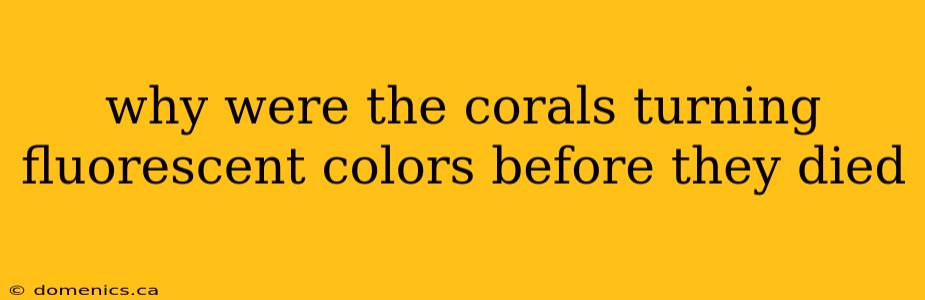 why were the corals turning fluorescent colors before they died