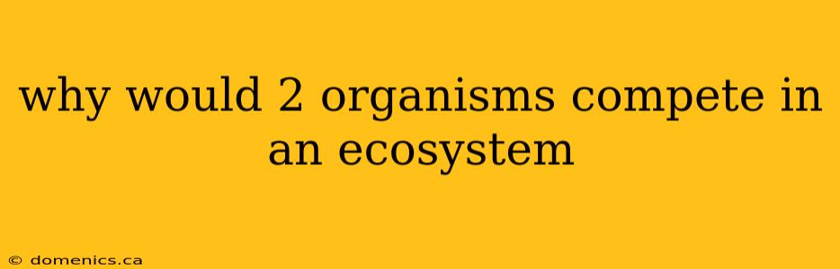 why would 2 organisms compete in an ecosystem