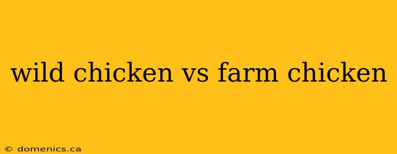 wild chicken vs farm chicken