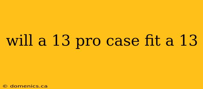 will a 13 pro case fit a 13