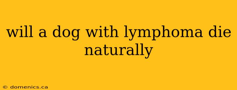 will a dog with lymphoma die naturally