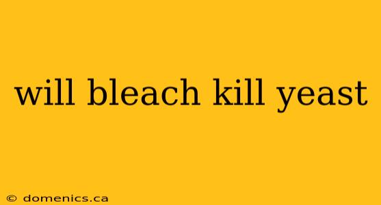 will bleach kill yeast