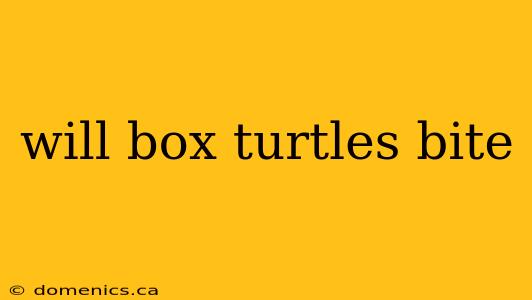 will box turtles bite