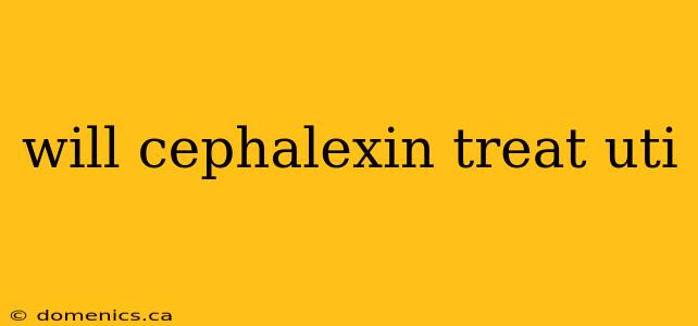 will cephalexin treat uti