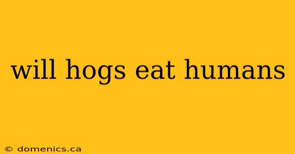 will hogs eat humans