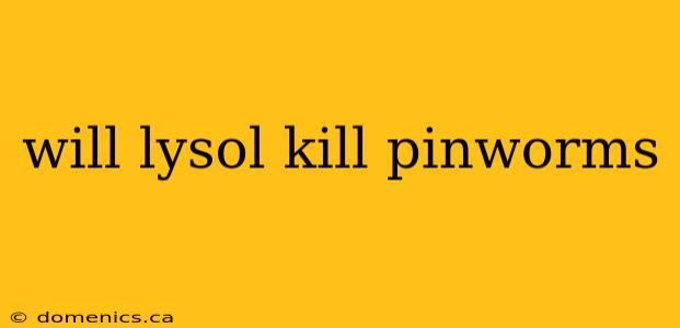 will lysol kill pinworms