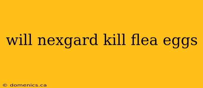 will nexgard kill flea eggs