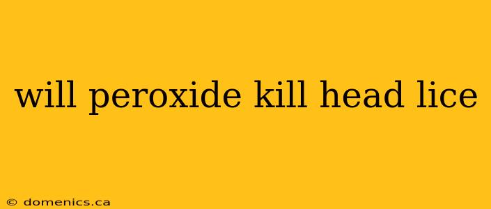 will peroxide kill head lice