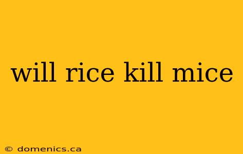 will rice kill mice