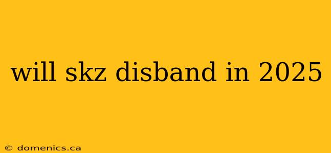 will skz disband in 2025