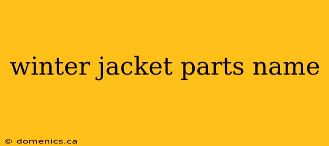 winter jacket parts name