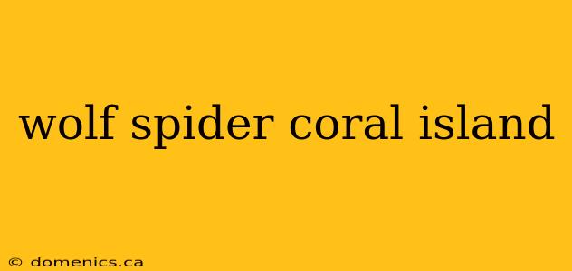 wolf spider coral island