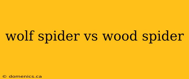 wolf spider vs wood spider