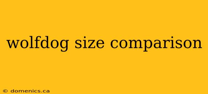 wolfdog size comparison