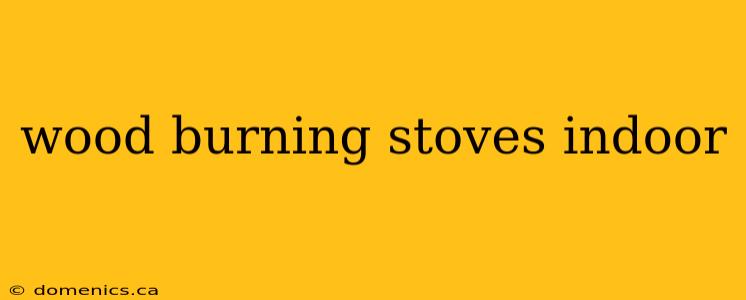 wood burning stoves indoor