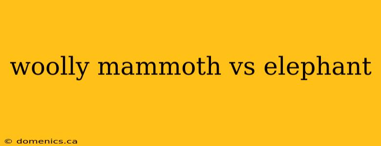 woolly mammoth vs elephant