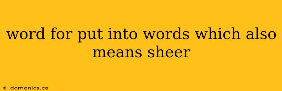 word for put into words which also means sheer