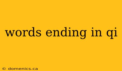 words ending in qi