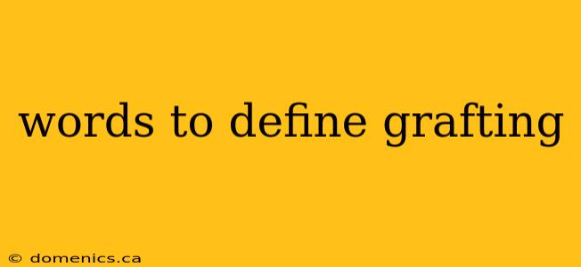 words to define grafting