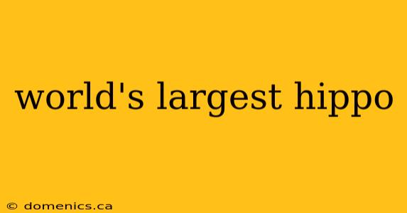 world's largest hippo