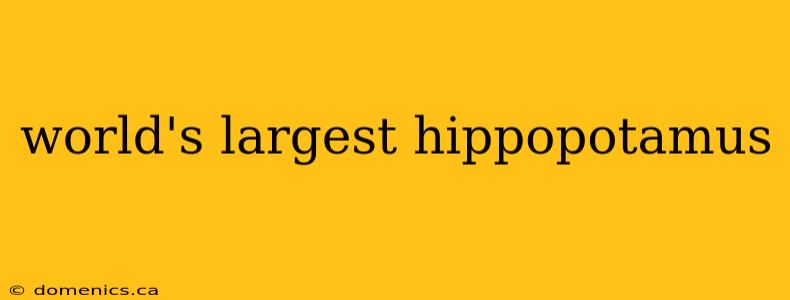 world's largest hippopotamus