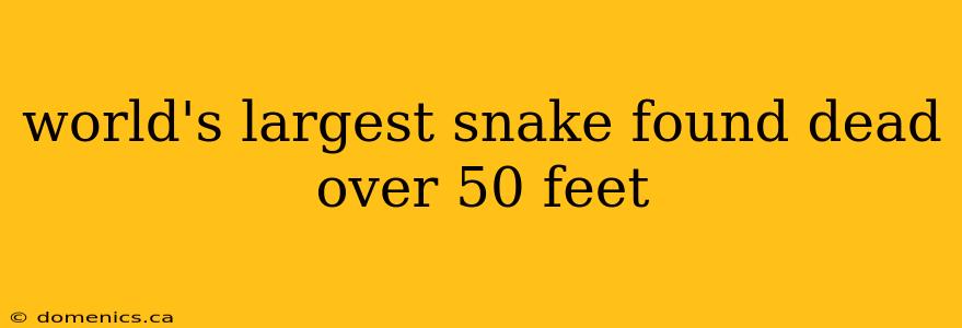 world's largest snake found dead over 50 feet