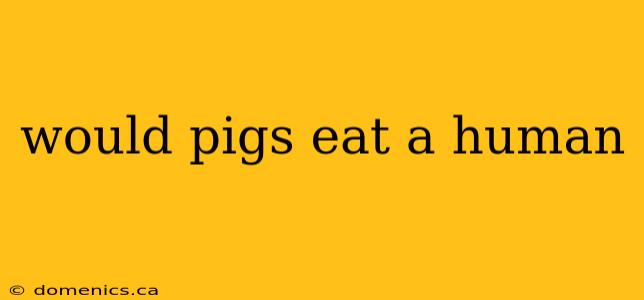 would pigs eat a human