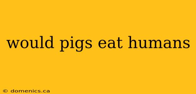 would pigs eat humans