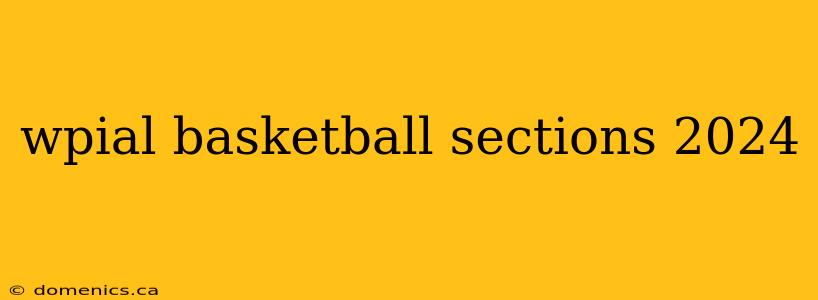 wpial basketball sections 2024